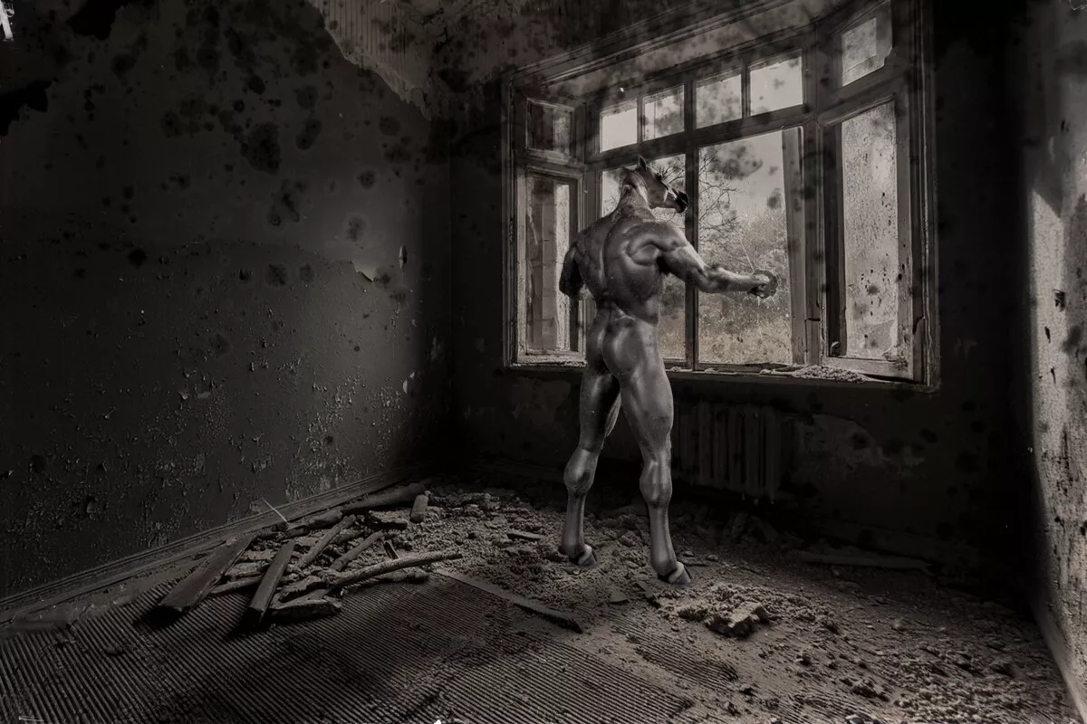 Fotografie